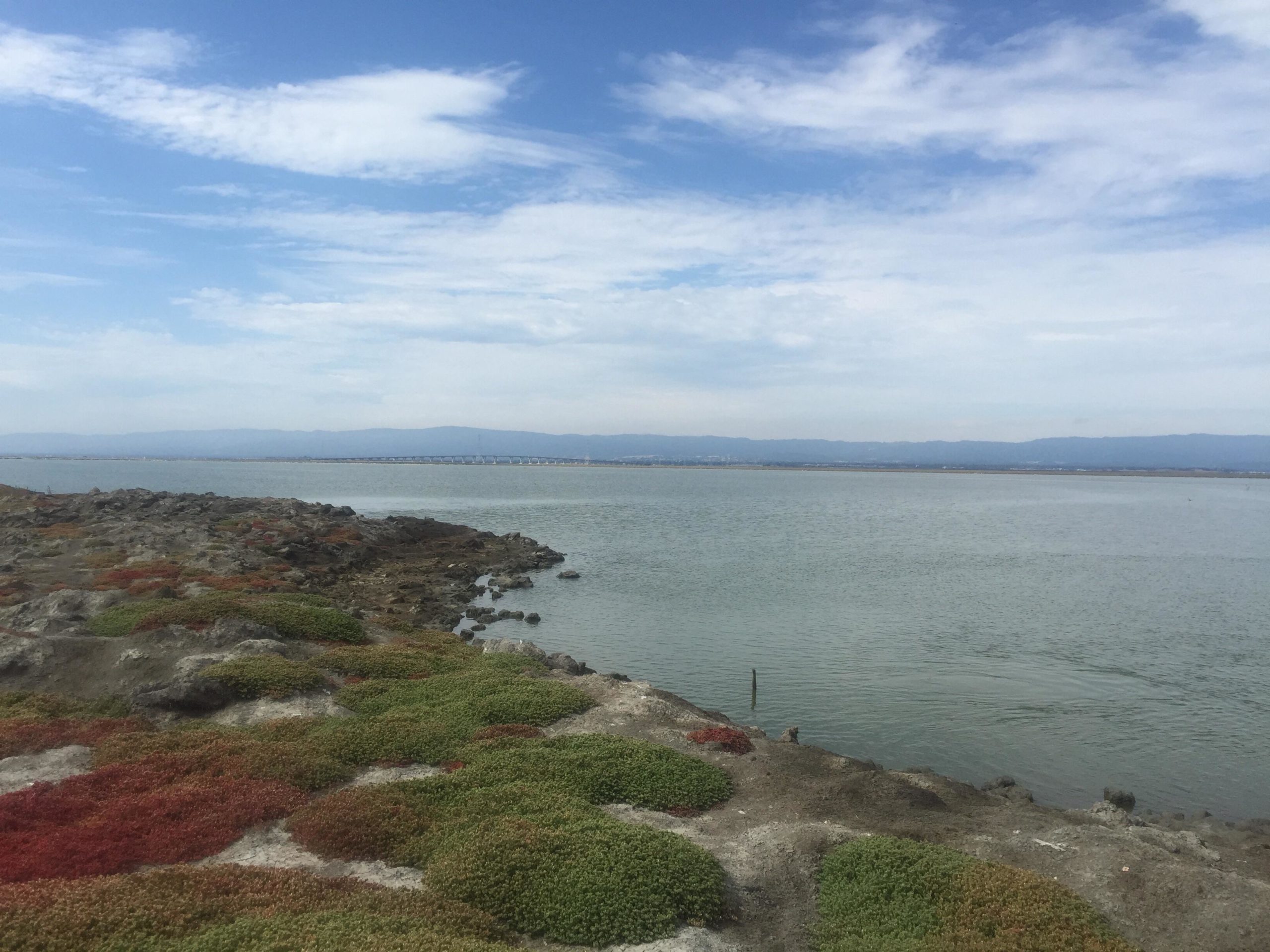 A serene landscape featuring a calm body of water bordered by rocky terrain and patches of colorful vegetation, with rolling hills in the background and a blue sky scattered with clouds. Coyote Hills Regional Park mountain bike trail.