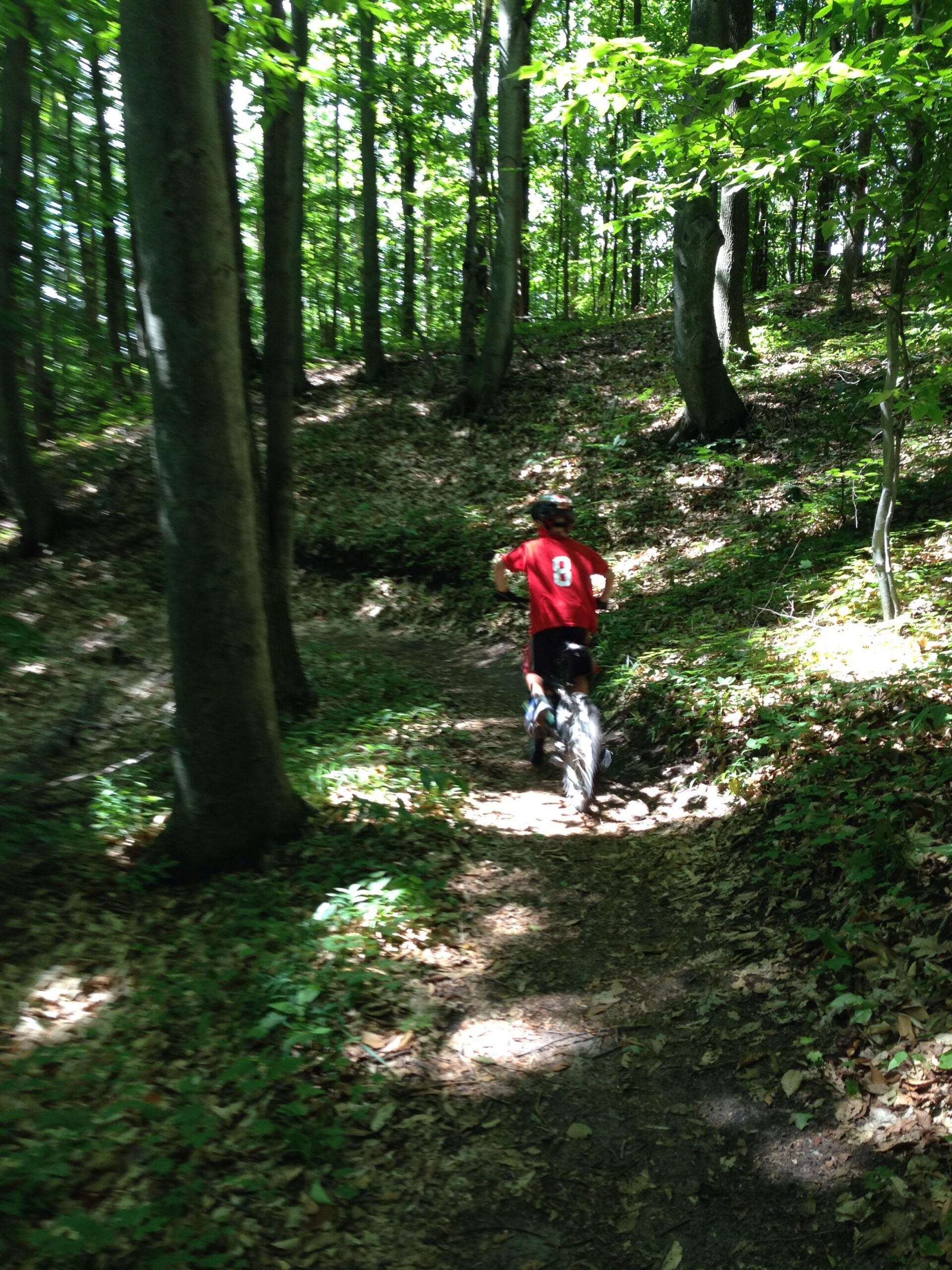 A person wearing a red shirt and bike helmet rides a mountain bike along a dirt trail in a densely wooded area, with sunlight filtering through the trees and casting dappled shadows on the ground. Arcadia Dunes mountain bike trail.