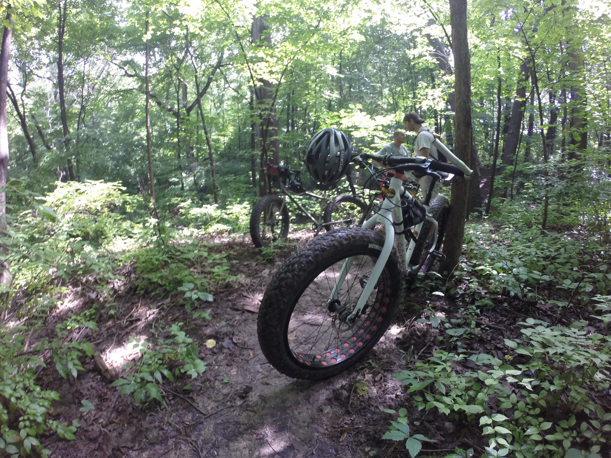 A scene in a lush, green forest where two mountain bikers are taking a break. In the foreground, a fat tire bicycle leans against a tree, showcasing its large, textured tires. Surrounding the bikes are dense greenery, including various plants and trees. Sunlight filters through the leaves, creating a vibrant, natural atmosphere. Murdock Park Trail mountain bike trail.
