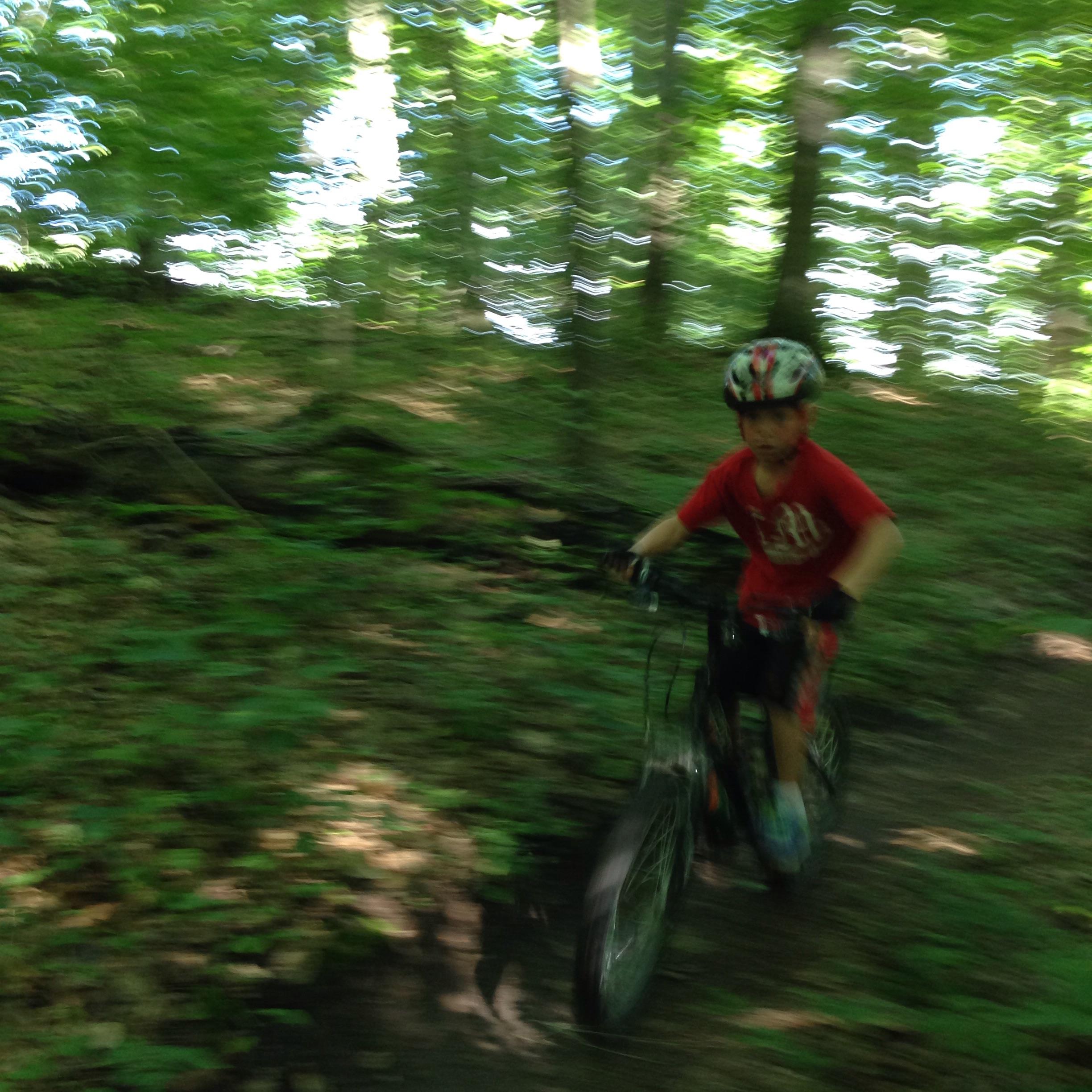A young child riding a bicycle on a wooded trail, surrounded by green foliage, with a sense of motion conveyed through a blurred background. The child is wearing a helmet and a red shirt. Arcadia Dunes mountain bike trail.
