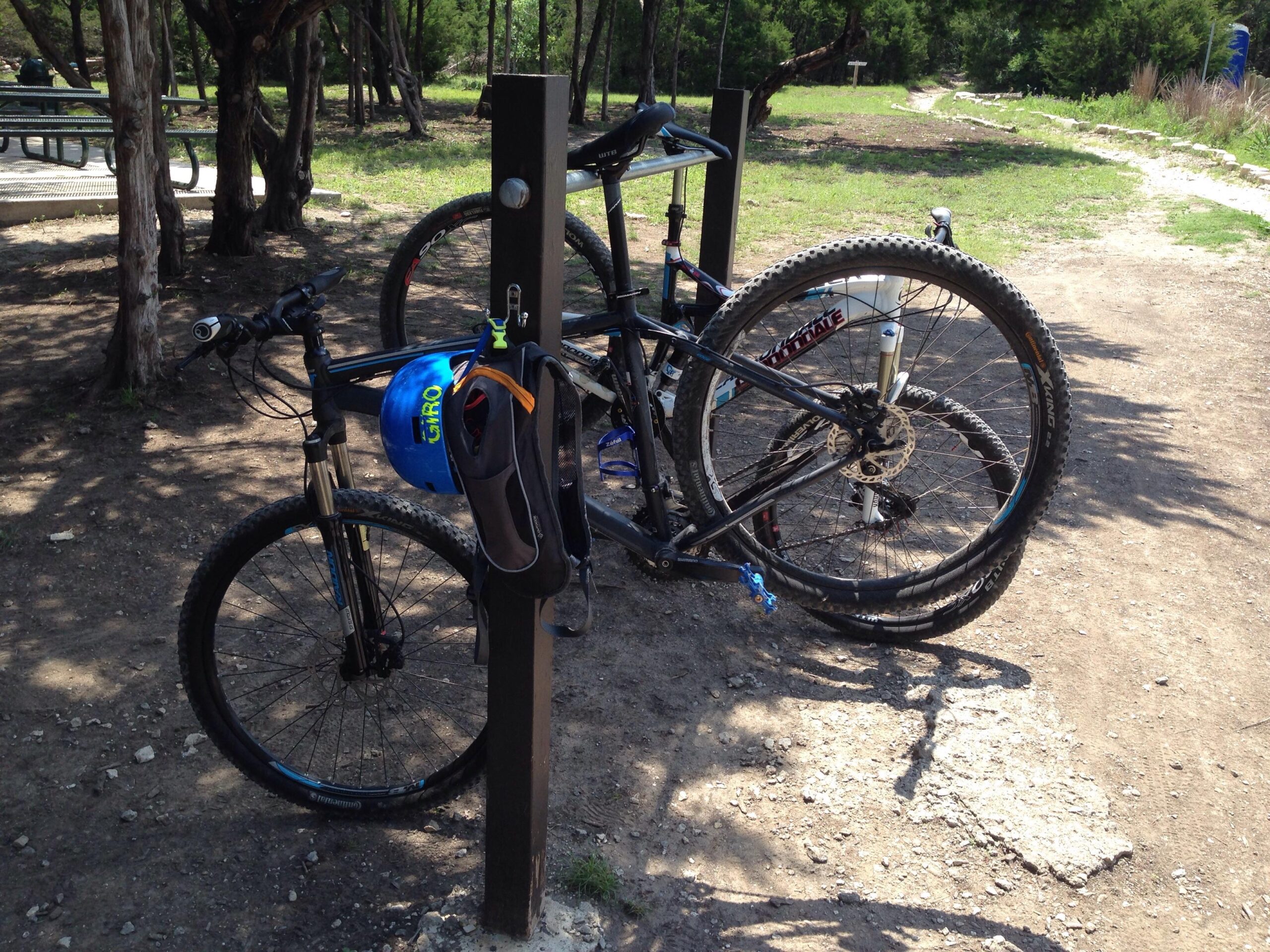 Marin Bobcat Trail: A black mountain bike parked against a metal post with a blue helmet hanging from it. In the background, there's a picnic area with tables under trees, and a dirt path leading into the greenery. Sunlight filters through the trees, creating a bright and inviting outdoor scene.