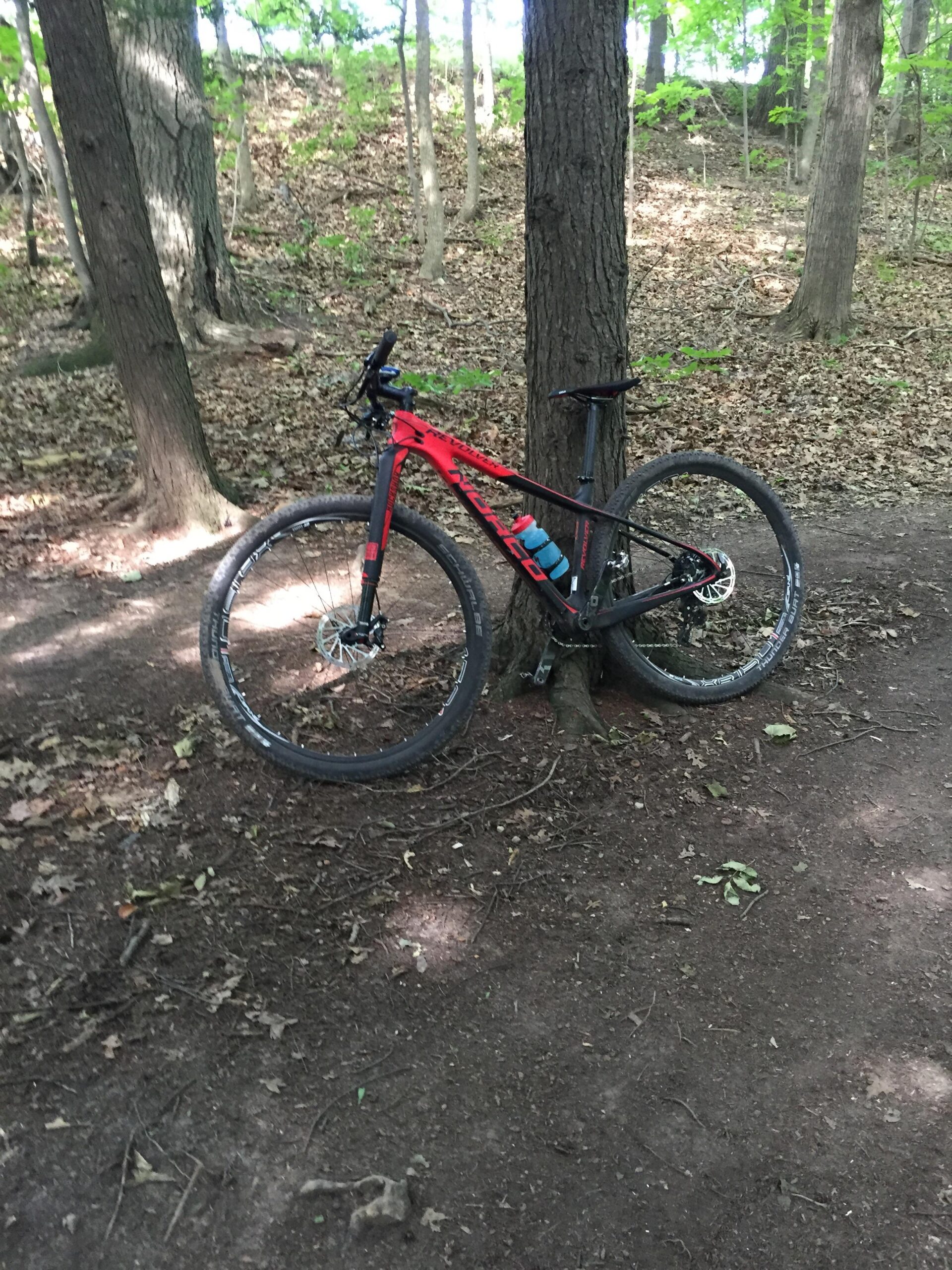 Norco Sl29: A red and black mountain bike is leaning against a tree in a wooded area, surrounded by dirt and fallen leaves. Sunlight filters through the leaves, creating a dappled light effect on the ground.