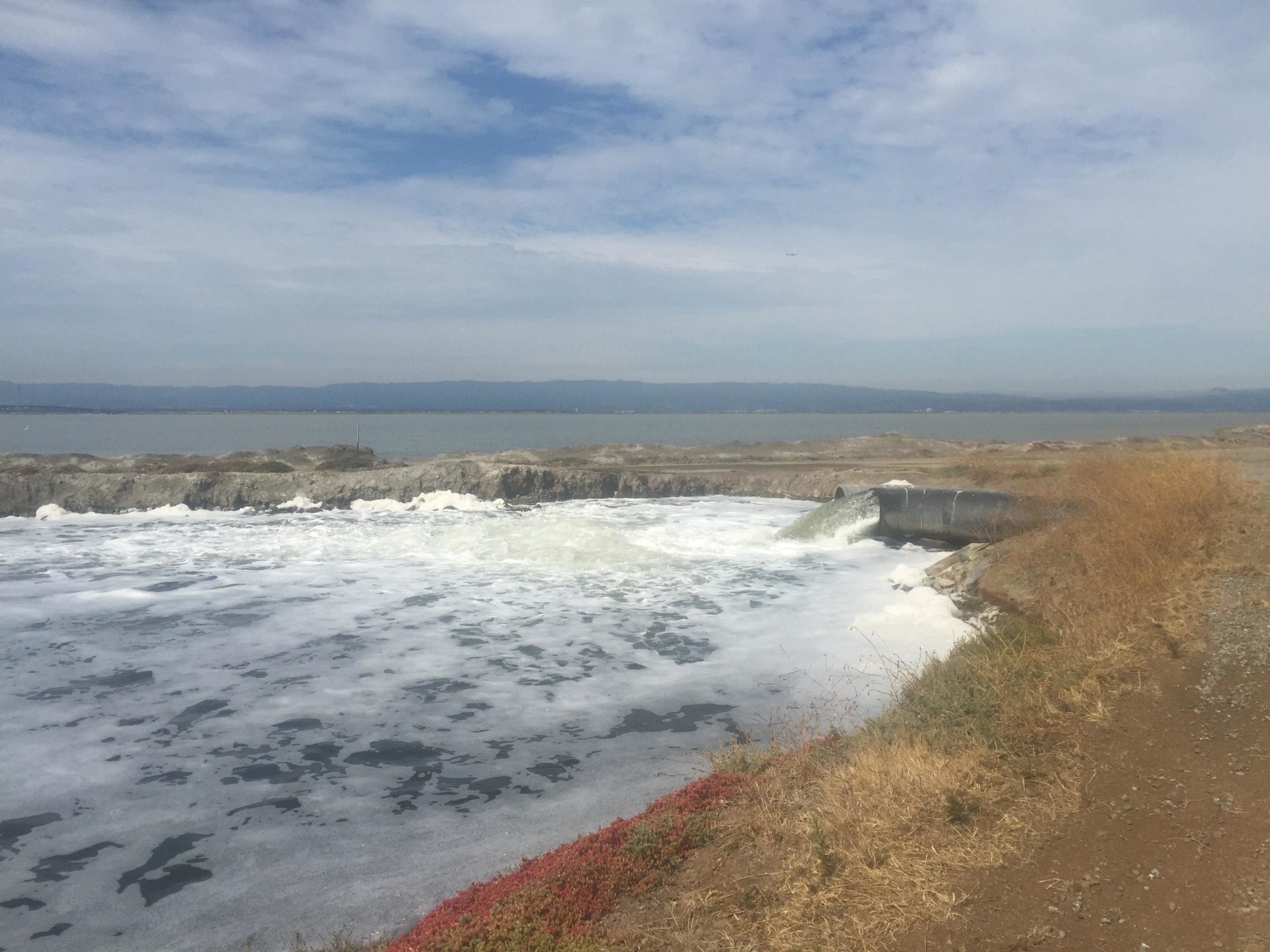 A shoreline view featuring calm waters with foam near the edge, a drainage pipe releasing water into the waterway, and patches of dry grass and reddish vegetation along the path. The horizon shows distant mountains under a lightly cloudy sky. Coyote Hills Regional Park mountain bike trail.
