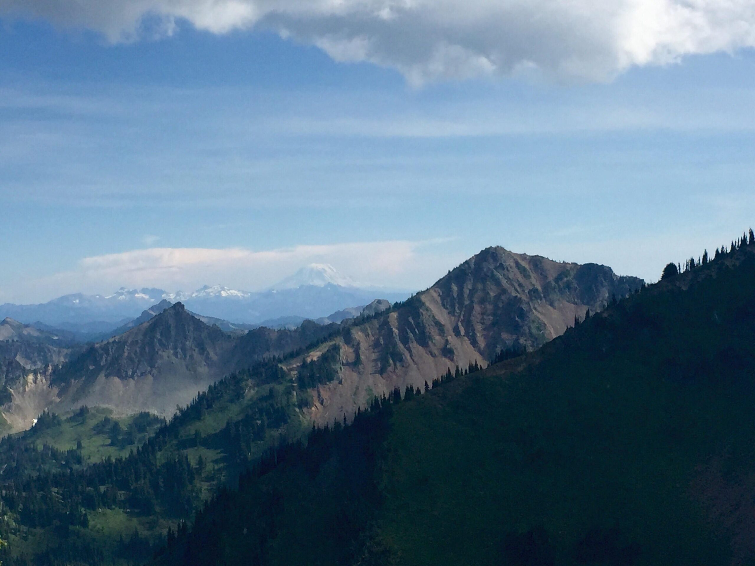 Scenic landscape featuring mountains under a blue sky with light clouds. The image showcases a range of peaks, some capped with snow, and lush green slopes in the foreground. A distant mountain looms in the background, enhancing the vastness of the natural scenery. Crystal Mountain Resort mountain bike trail.
