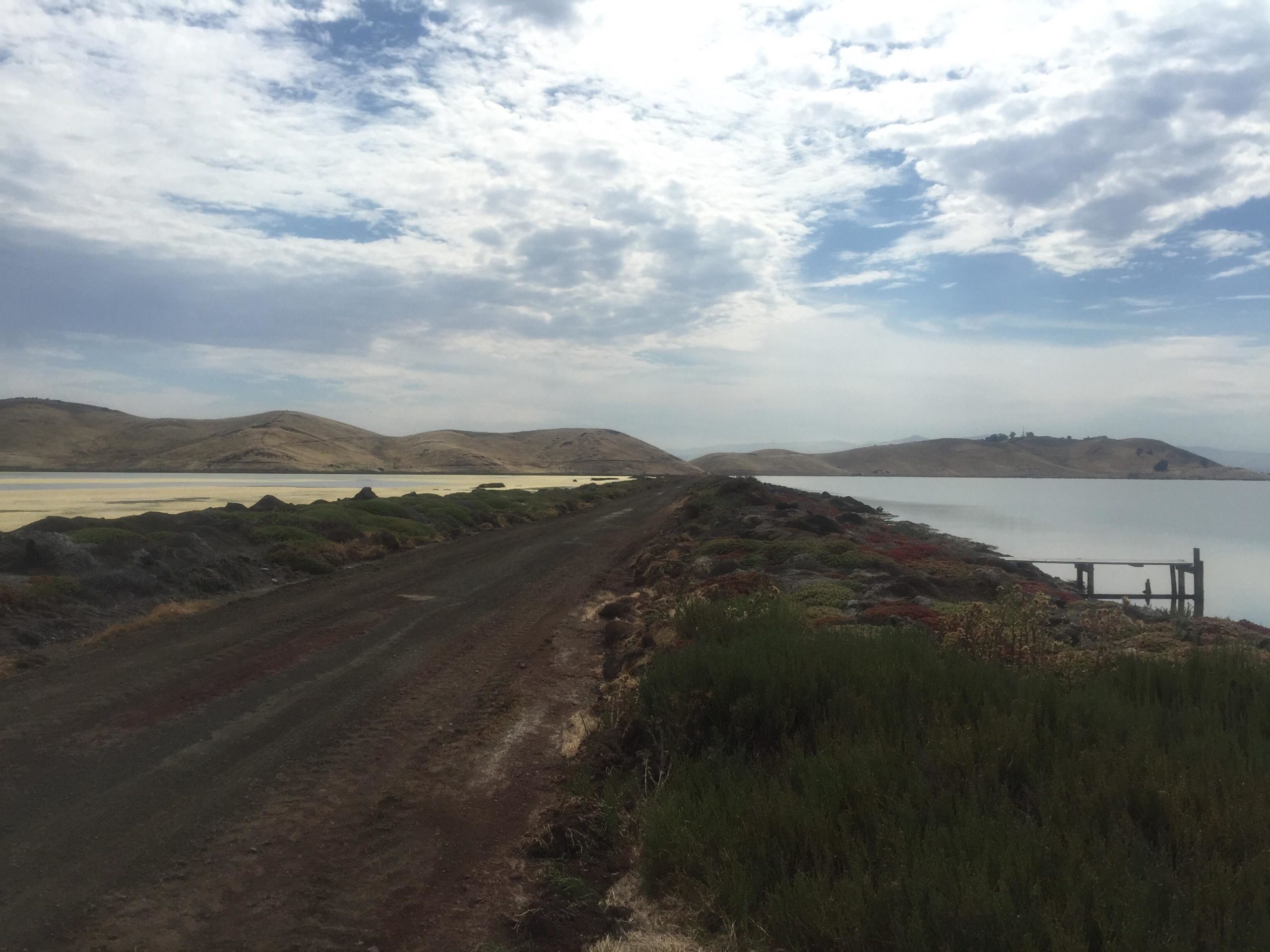 A dirt road runs alongside a calm body of water, bordered by green and reddish vegetation. In the background, gentle hills rise under a partly cloudy sky. A small wooden pier extends into the water near the right side of the image. Coyote Hills Regional Park mountain bike trail.