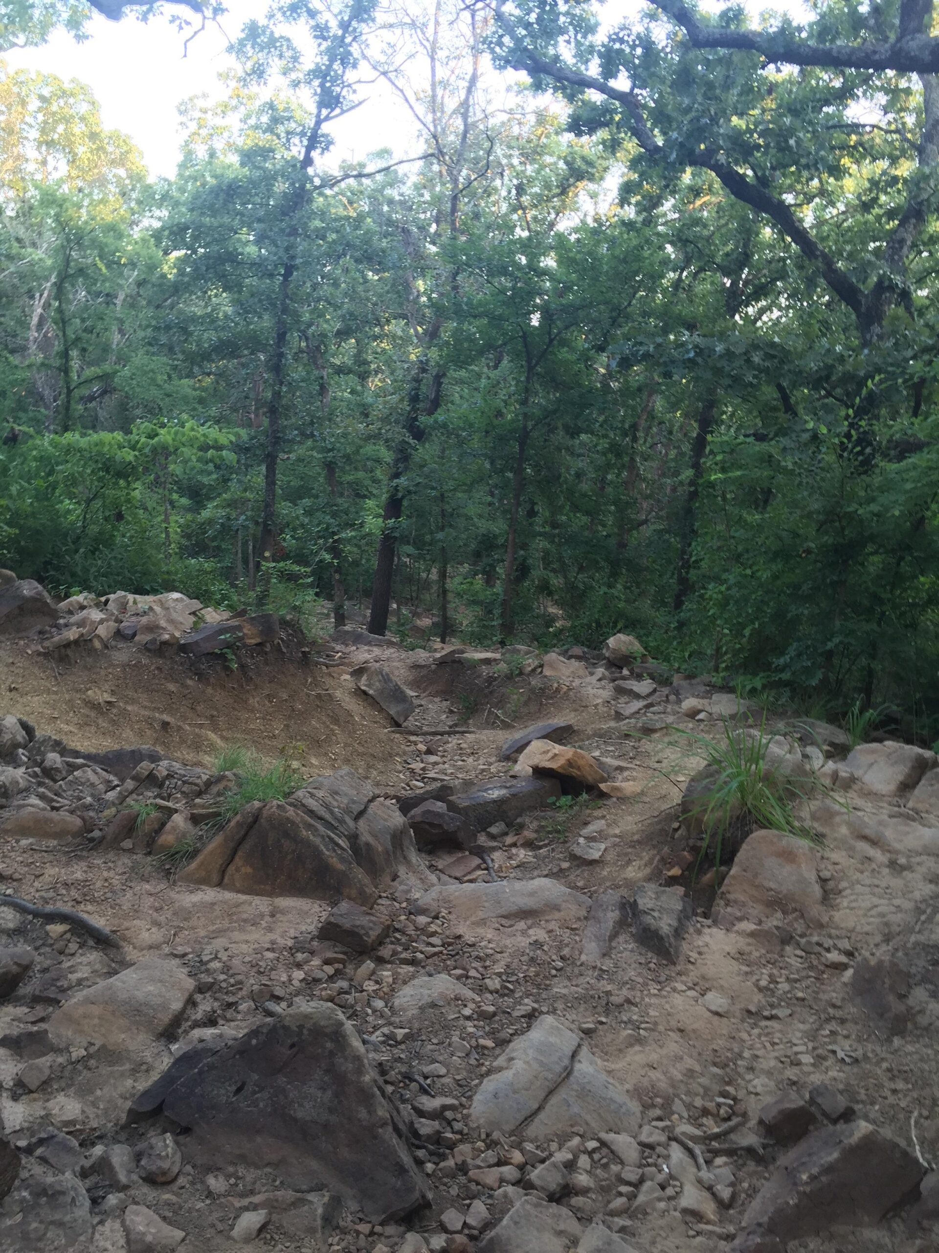 A rocky and uneven trail winding through a dense forest, surrounded by various trees and greenery. The path is made up of exposed dirt and scattered rocks, leading deeper into the woods. Turkey Mountain mountain bike trail.