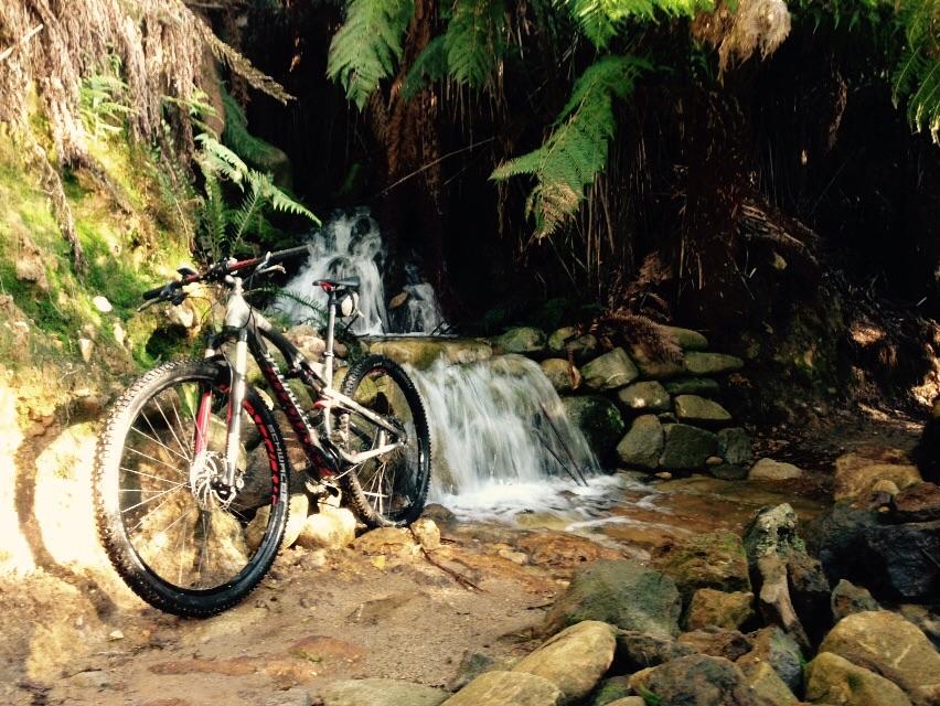 Specialized EPIC COMP CARBON: A mountain bike rests beside a small waterfall in a forested area, surrounded by ferns and rocky terrain. The bike is positioned on a dirt path, with water cascading down a stone formation in the background, creating a serene and natural setting.