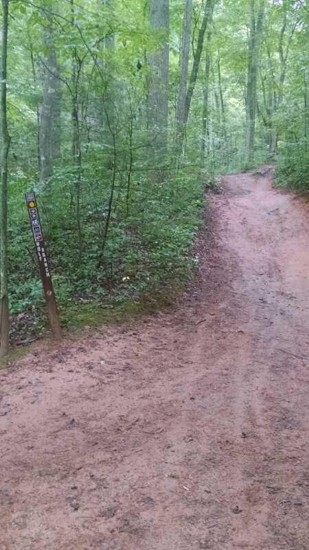 A winding dirt trail through a lush green forest, flanked by trees. A signpost stands on the left, partially obscured by vegetation, indicating directions or trail information. The path curves gently to the right, with a soft, muddy surface. Bent Creek mountain bike trail.