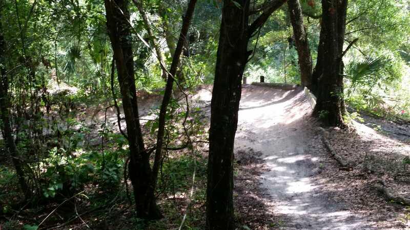 A dirt biking path meanders through a dense, green forest, surrounded by tall trees and lush vegetation. Sunlight filters through the leaves, illuminating the curve in the trail that leads deeper into the woods. The ground is sandy and well-worn, suggesting frequent use by cyclists. Mount Dora Trail mountain bike trail.