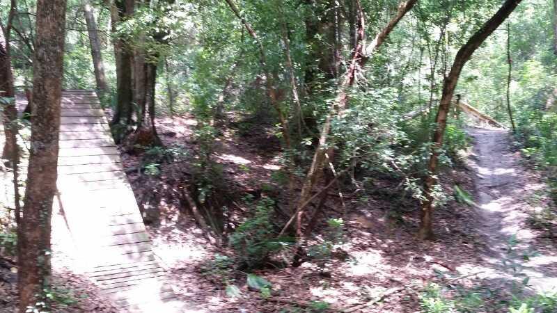 Alt text: A wooded area featuring a wooden bridge on the left, leading over a small ravine, with dense green foliage surrounding the path. A dirt trail veers off to the right, inviting exploration through the forest. Mount Dora Trail mountain bike trail.