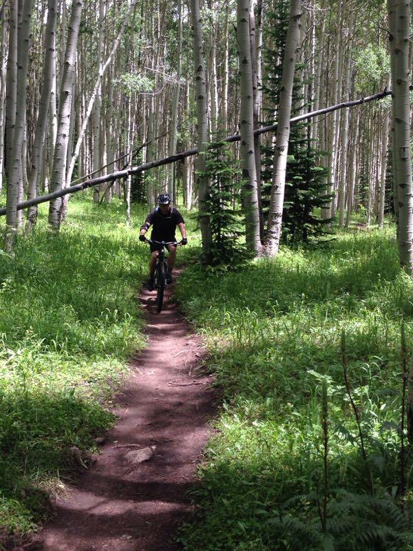 A person riding a mountain bike on a narrow dirt trail through a dense forest of aspen trees, surrounded by green grass and underbrush. Sunlight filters through the trees, creating a natural, serene atmosphere. Lupine Trail mountain bike trail.
