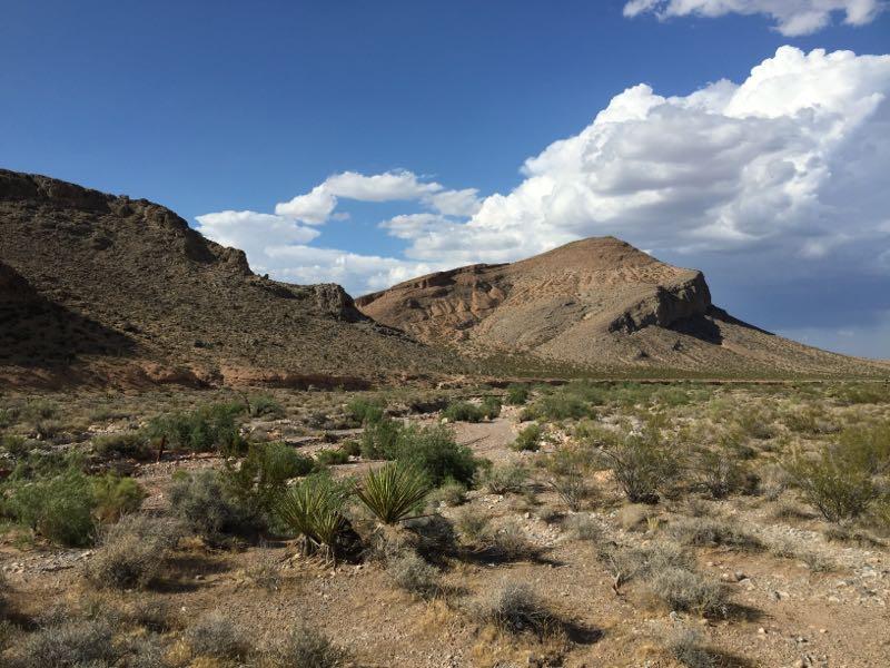 A desert landscape featuring rugged mountains under a partly cloudy sky. The foreground includes scattered shrubs and plants, with a clear view of a prominent mountain peak in the background. Blue Diamond mountain bike trail.