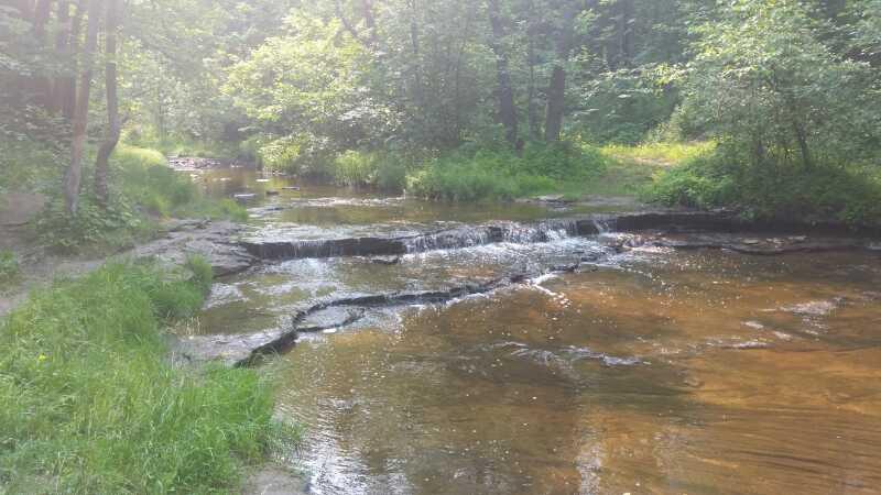 A serene river scene with gentle flowing water over rocks, surrounded by lush green trees and grass. Sunlight filters through the canopy, creating a peaceful and natural atmosphere. Baird Creek mountain bike trail.