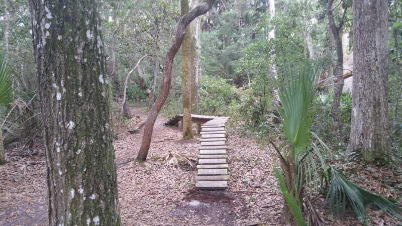 A wooden path winding through a lush forest, surrounded by trees and foliage, with leaves covering the ground. Mala Compra mountain bike trail.