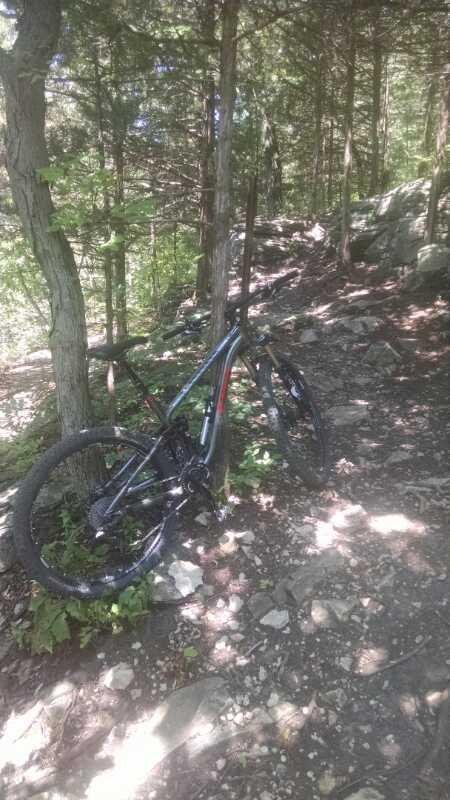 A mountain bike leaning against a tree on a rocky trail surrounded by greenery, indicating a forested outdoor setting. Swope Park Trail mountain bike trail.