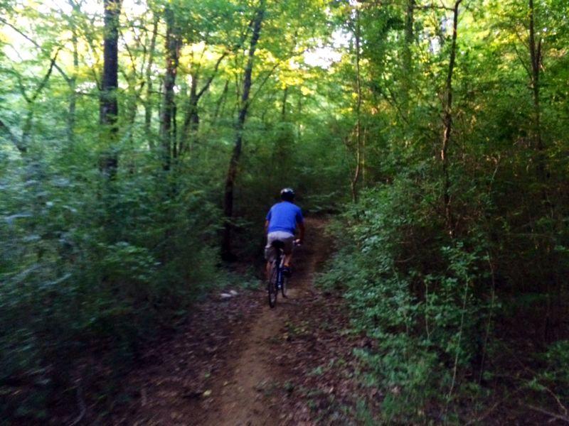 A person riding a bicycle along a dirt trail surrounded by dense green trees and underbrush in a wooded area. Sunlight filters through the leaves, creating a natural and serene environment. Water Tank Trail mountain bike trail.