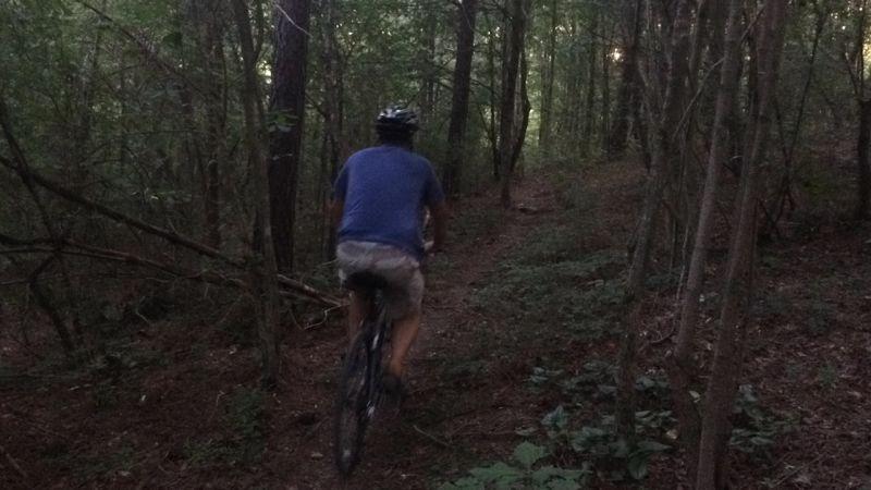 A person riding a mountain bike on a narrow trail through a dense forest, surrounded by tall trees and lush greenery. The scene is set in a quiet, shaded area, creating a sense of adventure in nature. Water Tank Trail mountain bike trail.