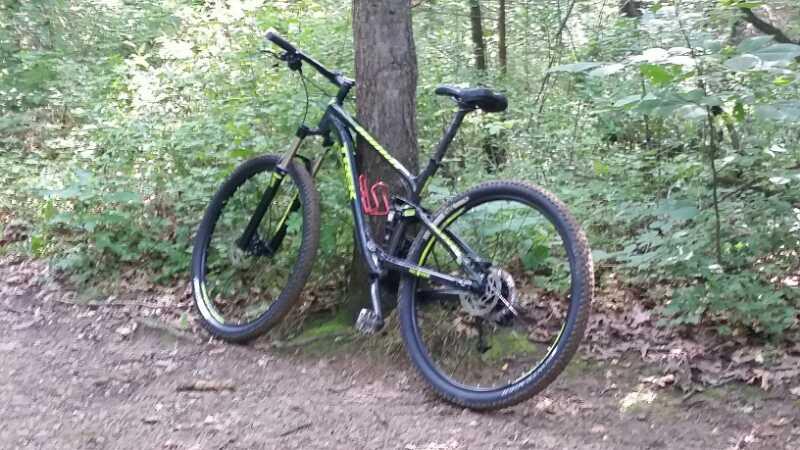 A mountain bike resting against a tree on a dirt path, surrounded by greenery and forest vegetation. Potawatomi trail mountain bike trail.