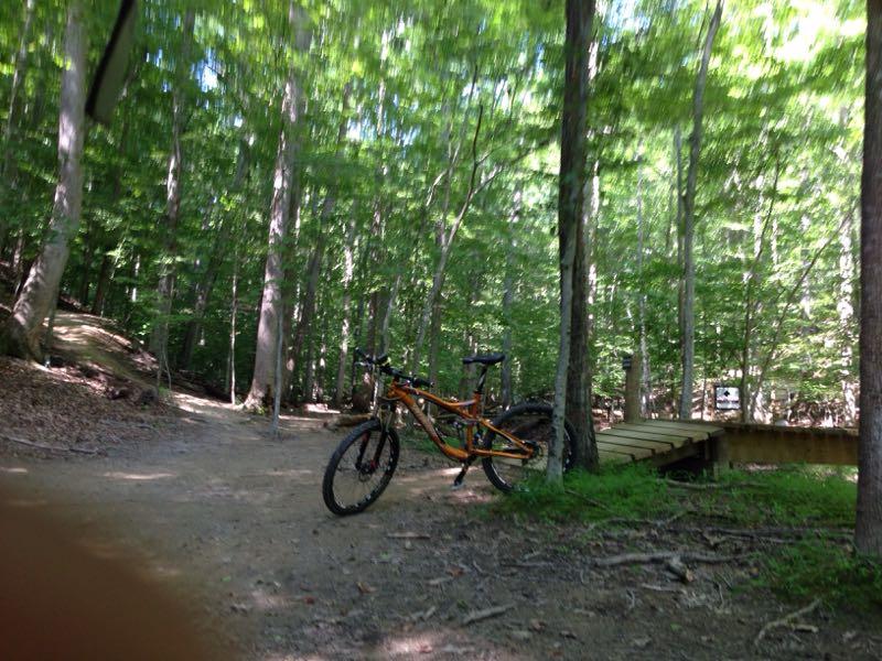 Alt text: A mountain bike with an orange frame is leaning against a tree in a wooded area. A dirt path forks into two directions, with a wooden bridge visible in the background under a canopy of green leaves. Sunlight filters through the trees, creating a bright and natural atmosphere. Fountainhead Regional Park mountain bike trail.