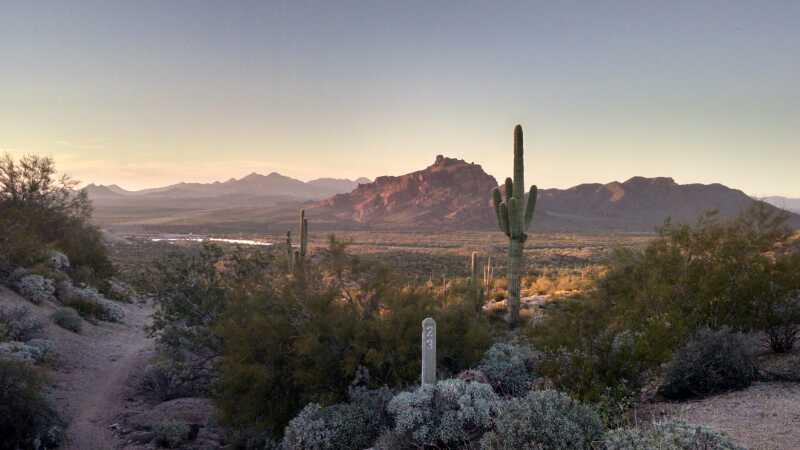 A desert landscape at sunset featuring rocky mountains in the background, a winding trail in the foreground, and various cacti and desert vegetation scattered throughout the scene. Hawes Loop mountain bike trail.