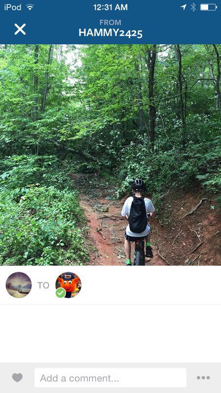 A person riding a mountain bike down a narrow dirt trail surrounded by lush green foliage and trees, with the sunlight filtering through the leaves. The biker is wearing a helmet and a backpack, focused on the path ahead. Bent Creek mountain bike trail.