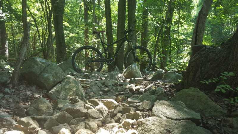 A black mountain bike resting on a rocky path surrounded by lush green trees in a forested area, with dappled sunlight filtering through the foliage. Nassau Trails mountain bike trail.
