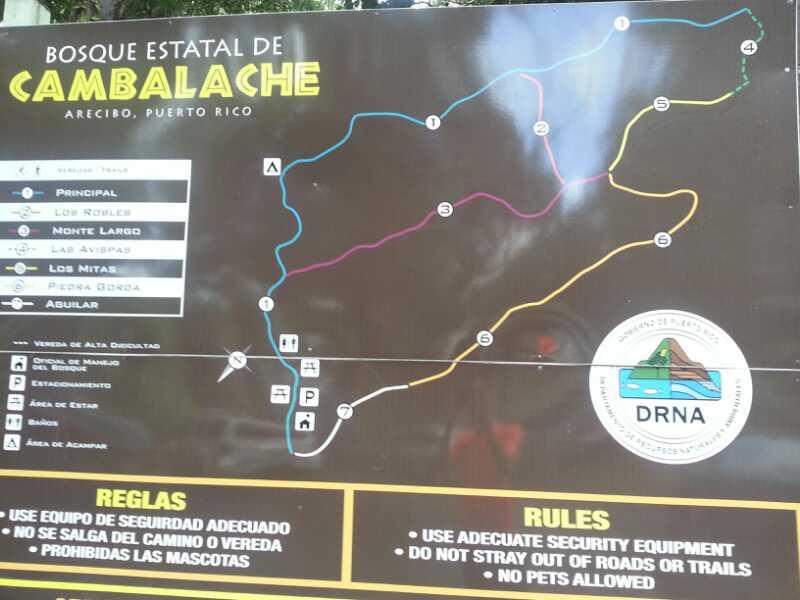 Map of Bosque Estatal de Cambalache in Arecibo, Puerto Rico, showing trails, key locations, and rules for visitors. The map highlights paths like Principal, Monte Largo, and Los Mitas, along with important symbols for parking and areas of interest. The rules section emphasizes safety equipment, staying on designated paths, and the prohibition of pets. Cambalache State Forest mountain bike trail.