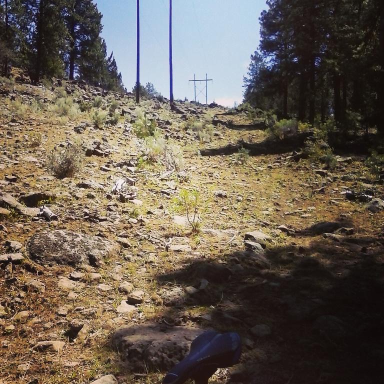 A rocky, sloped terrain with sparse vegetation, including patches of grass and small bushes, under a clear blue sky. In the background, tall trees line the path, and power lines are visible along the hillside. A portion of a shoe can be seen in the foreground. Phillips Lake Southern Bike & XC Ski Trails mountain bike trail.