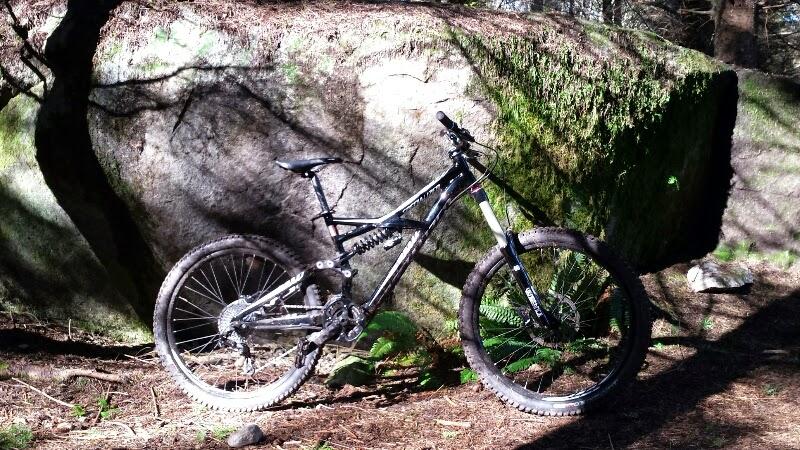 Specialized Enduro Evo: A mountain bike leaning against a large moss-covered rock in a forested area, with dappled sunlight filtering through the trees.