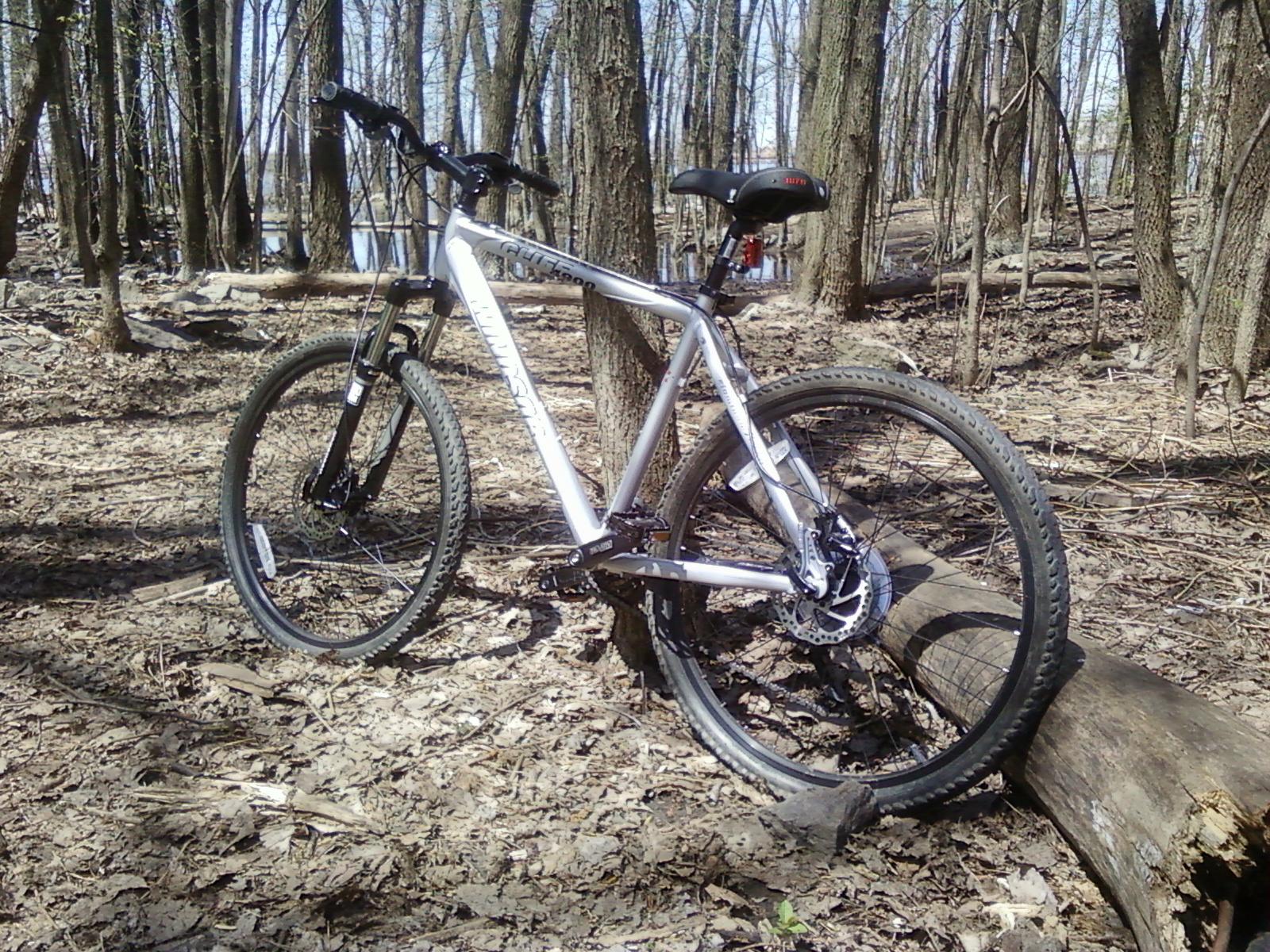 Windsor Cliff 4900: A mountain bike resting on a fallen log in a forest setting, surrounded by leaf-covered ground and tall trees. The scene captures a sunny day with clear skies peeking through the branches.