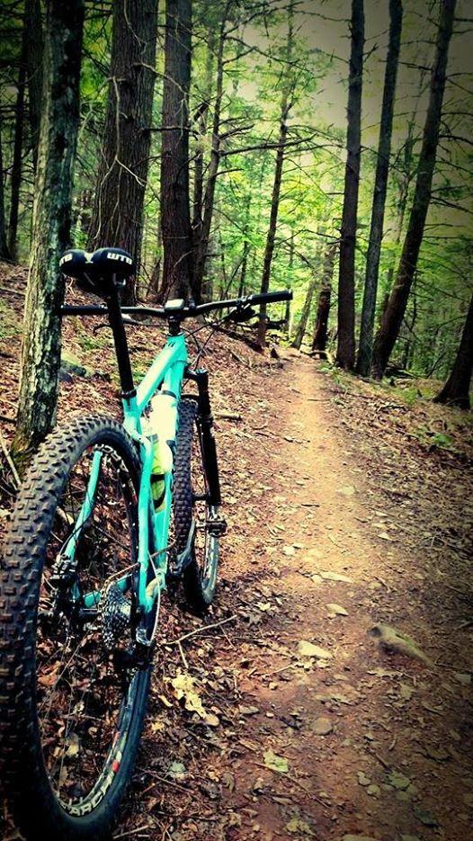 Alt text: A turquoise mountain bike leaning against a tree on a dirt trail surrounded by tall trees and greenery. The path winds through the forest, indicating a natural, outdoor setting suitable for biking. Elm Ridge mountain bike trail.