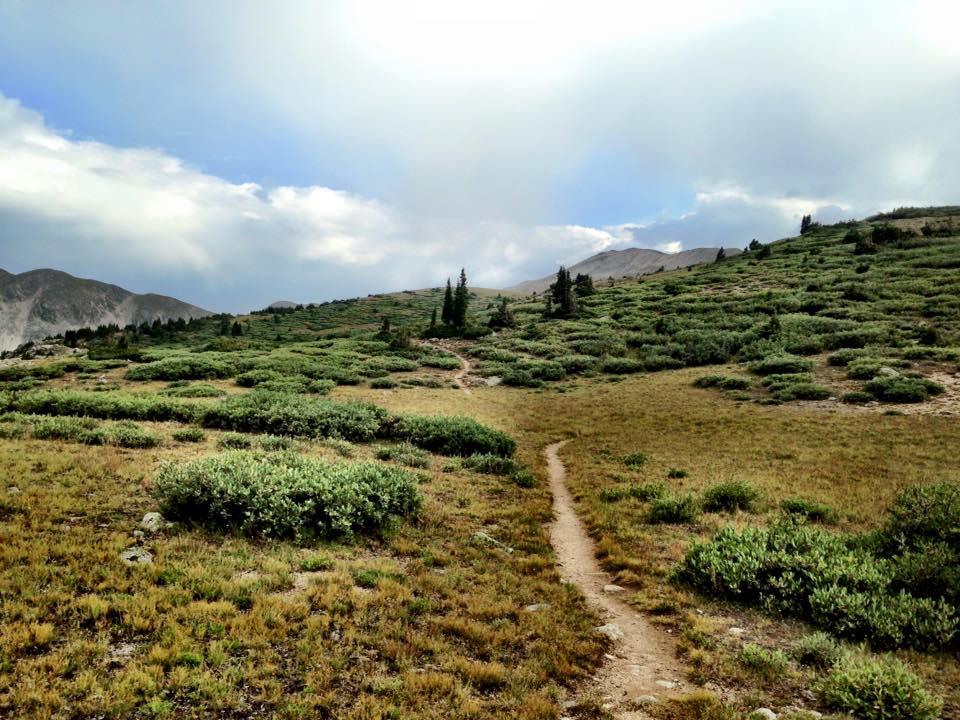 A winding dirt path leads through a lush green landscape with shrubs and low vegetation, surrounded by rolling hills and distant mountains under a partly cloudy sky. CDT: Alpine Tunnel mountain bike trail.