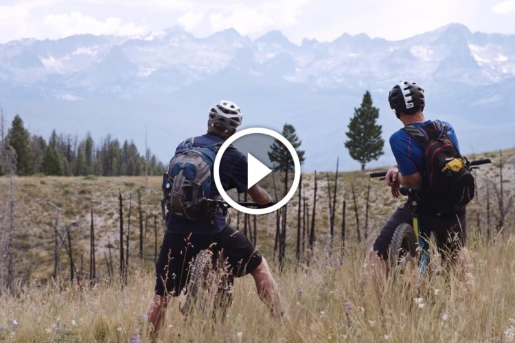 Two mountain bikers are standing on a grassy hillside, looking out over a scenic view of distant mountains under a partly cloudy sky. The terrain features patches of wildflowers and remnants of burned trees, highlighting a natural landscape. One biker is holding onto their bike, while both are wearing helmets and backpacks, prepared for their adventure.