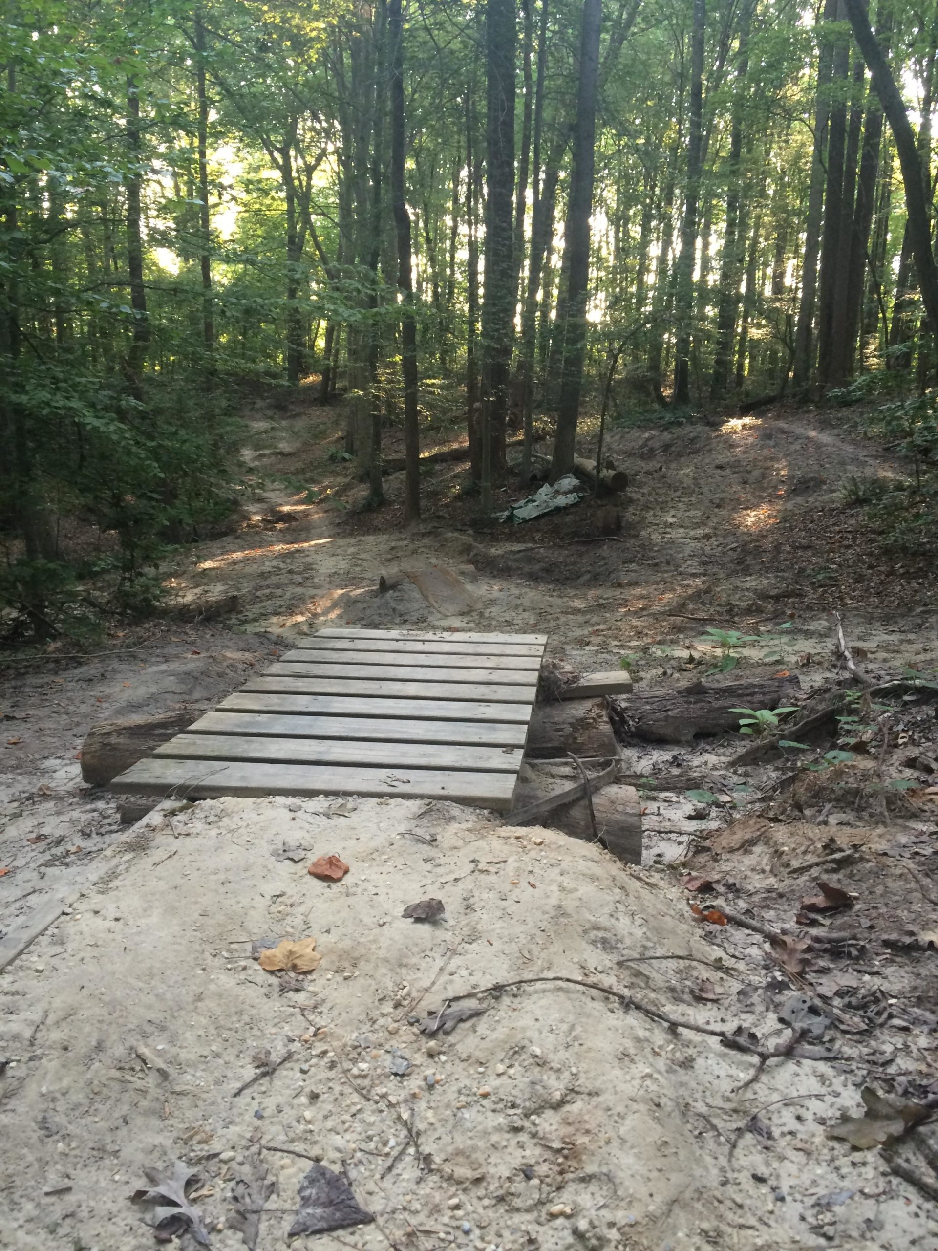 A narrow wooden bridge made of planks, spanning a small dirt trail in a lush green forest. Sunlight filters through the trees, creating a warm glow in the background. The path is surrounded by earthy tones of soil and fallen leaves, indicating a natural woodland setting. Lake Maury mountain bike trail.