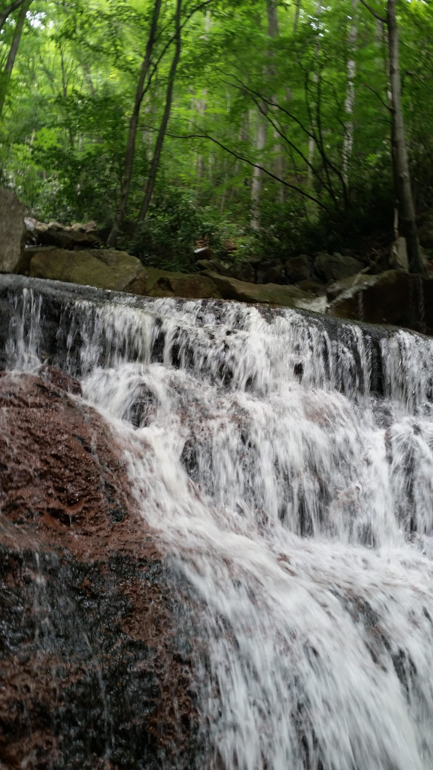 A close-up view of a cascading waterfall over dark, textured rocks, surrounded by lush green foliage and trees in a natural forest setting. The water flows rapidly, creating a serene and refreshing atmosphere. Blackwater Canyon Trail mountain bike trail.