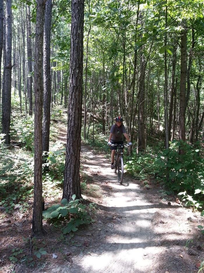 A person riding a mountain bike along a narrow dirt path through a dense forest, surrounded by tall trees and lush greenery on a sunny day. Sylaward mountain bike trail.