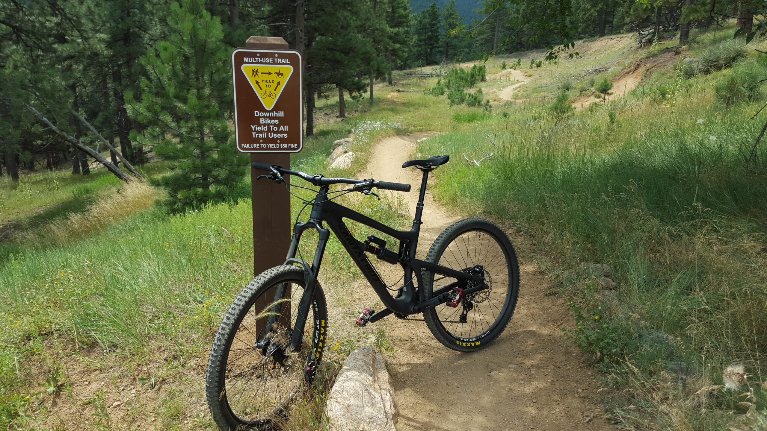 Santa Cruz Nomad: A black mountain bike is leaning against a brown sign at the entrance of a multi-use trail, indicating that downhill bikes must yield to all trail users. The path winds through a green landscape with tall grasses and pine trees in the background.