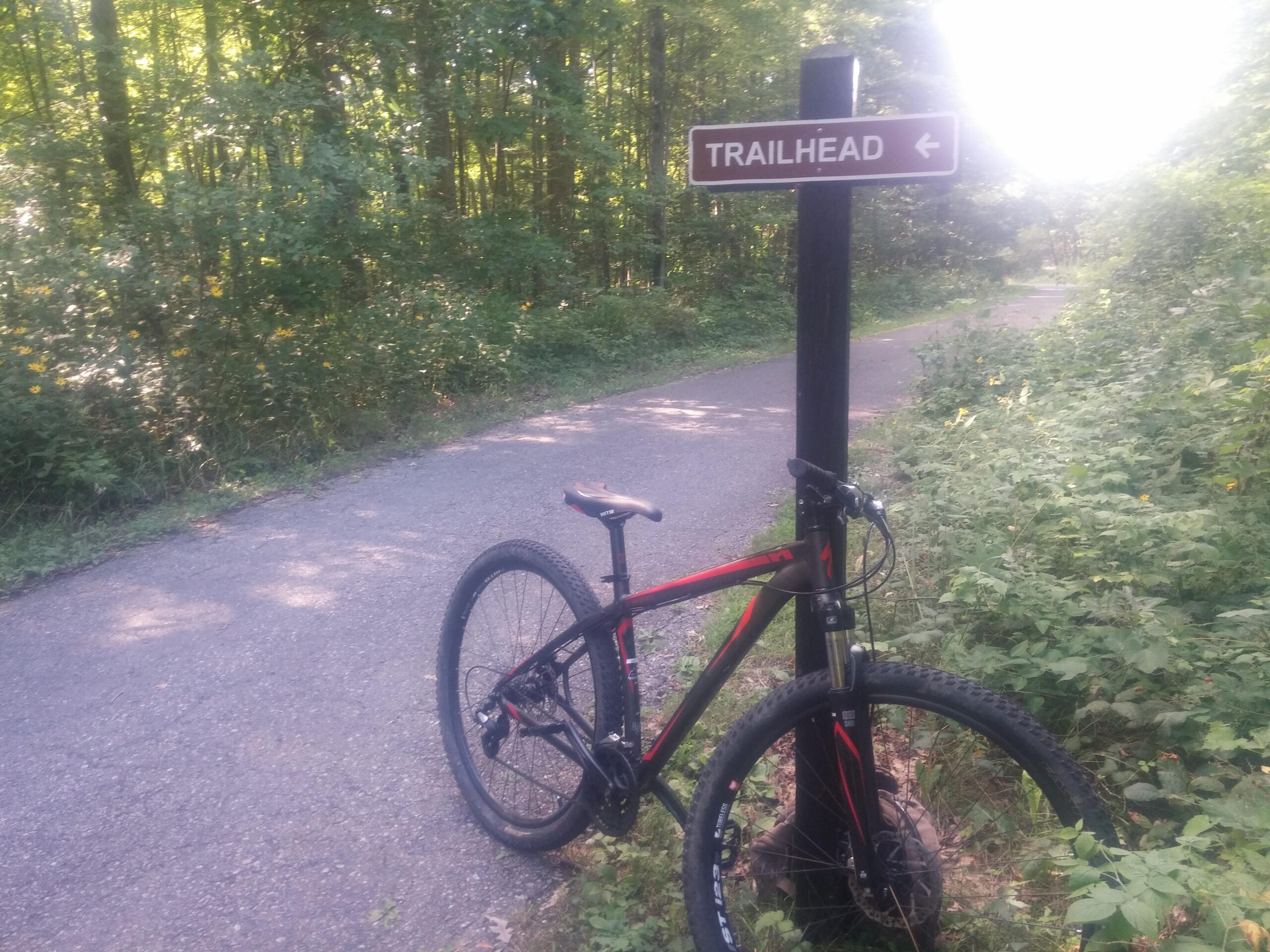 A mountain bike leaned against a signpost labeled "TRAILHEAD," indicating the beginning of a trail. The scene is set along a paved path surrounded by lush greenery and sunlight filtering through the trees. Island Lake mountain bike trail.