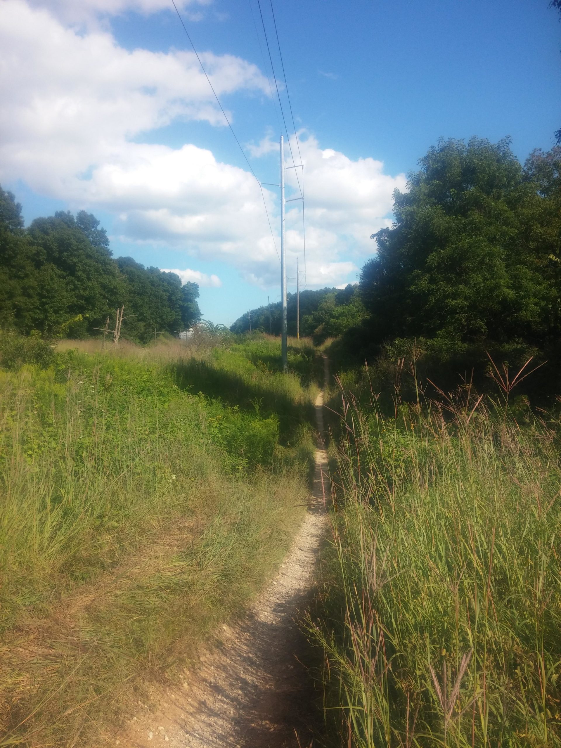 A narrow gravel path winds through tall green grass and vegetation, bordered by trees on either side. Above, power lines stretch across a bright blue sky dotted with fluffy white clouds. Island Lake mountain bike trail.