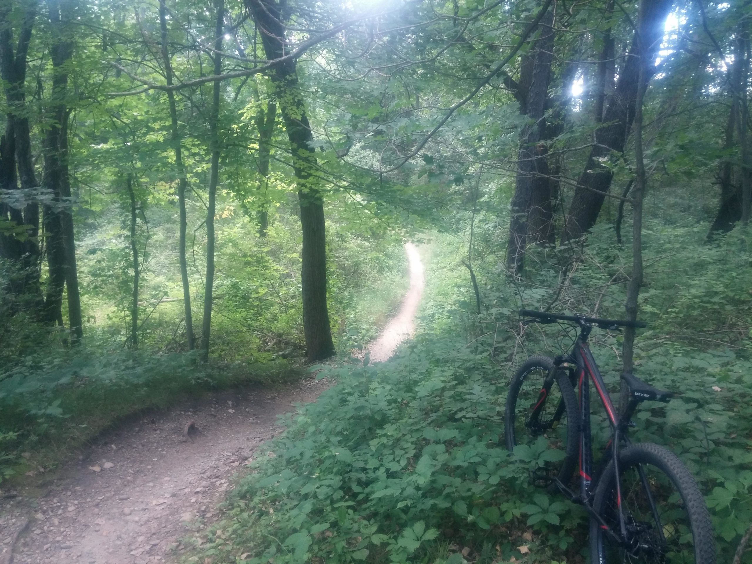 A mountain bike resting on a dirt path surrounded by lush green foliage and trees, leading into a wooded area. Island Lake mountain bike trail.