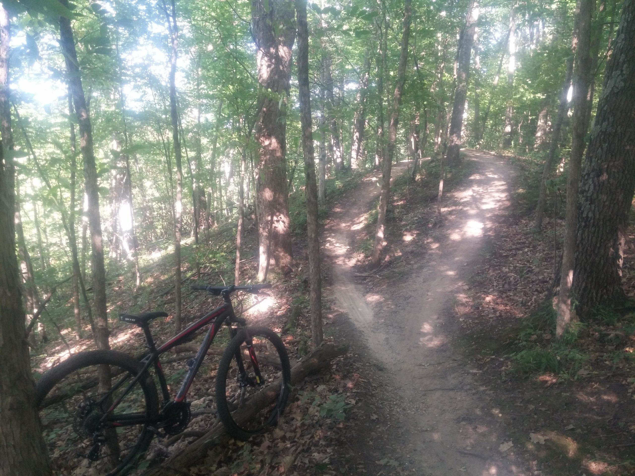 A mountain bike leaning against a tree on a dirt trail in a dense forest, surrounded by lush green foliage and shafts of sunlight filtering through the trees, creating a serene outdoor atmosphere. Island Lake mountain bike trail.