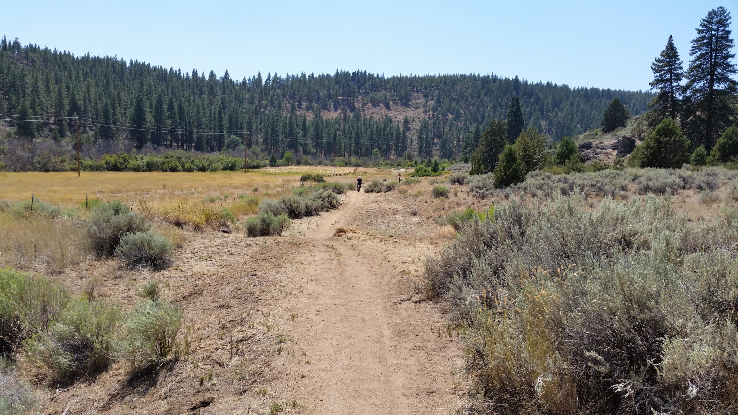 A dirt pathway running through a dry, grassy field surrounded by green shrubs and trees. In the distance, a person can be seen riding a bike along the trail. The sky is clear and blue, with a forested hillside in the background. Susanville Ranch Park mountain bike trail.