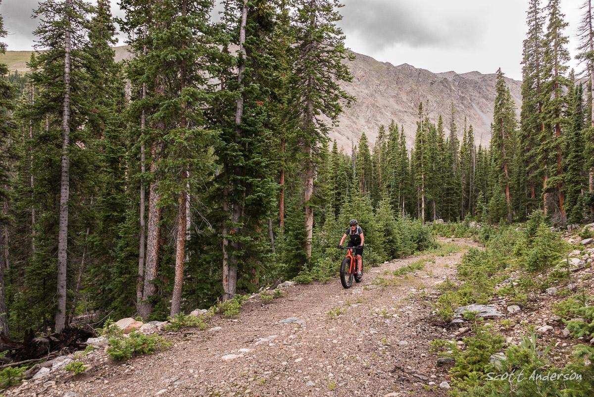 A mountain biker riding on a dirt trail through a dense forest of tall pine trees, with rocky terrain and distant mountains visible in the background under a cloudy sky. Cottonwood Pass Road mountain bike trail.