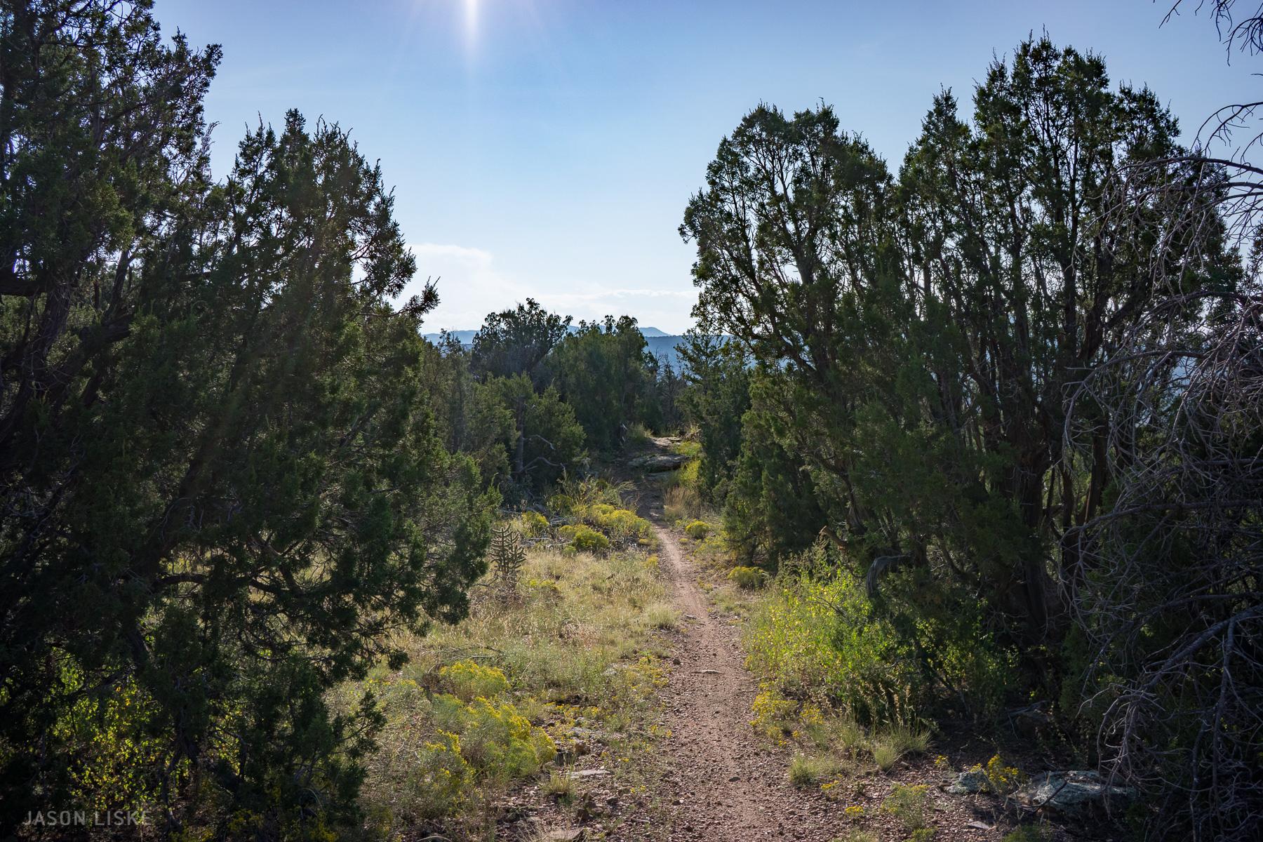 A dirt path winding through a natural landscape, bordered by green shrubs and trees, with sunlight filtering through the branches. The scene is peaceful, showcasing a clear blue sky in the background. Oil Well Flats mountain bike trail.