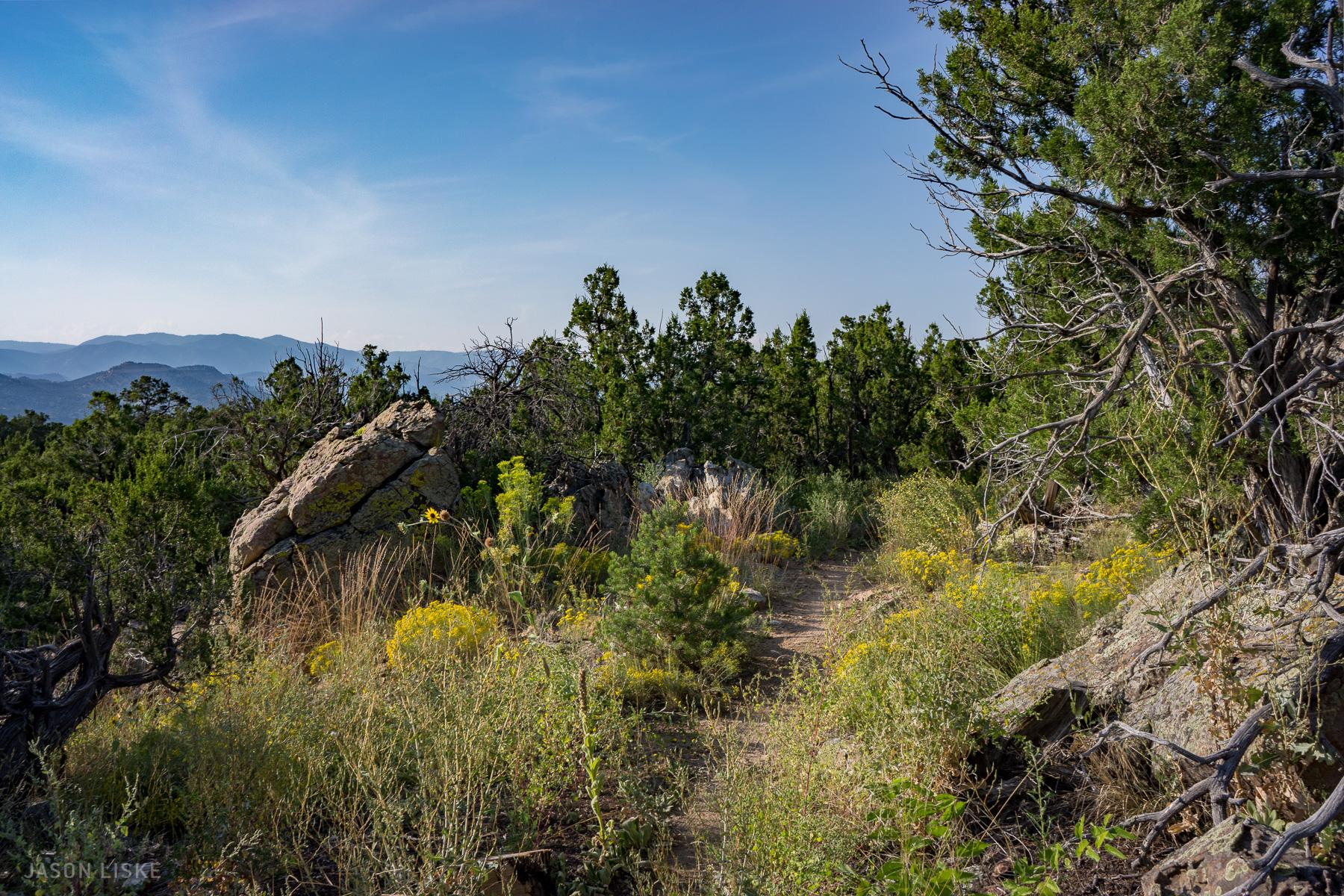 A scenic view of a rocky path surrounded by vibrant wildflowers and greenery, leading into a mountainous landscape under a clear blue sky. Trees and shrubs frame the trail, creating a peaceful natural setting. Oil Well Flats mountain bike trail.