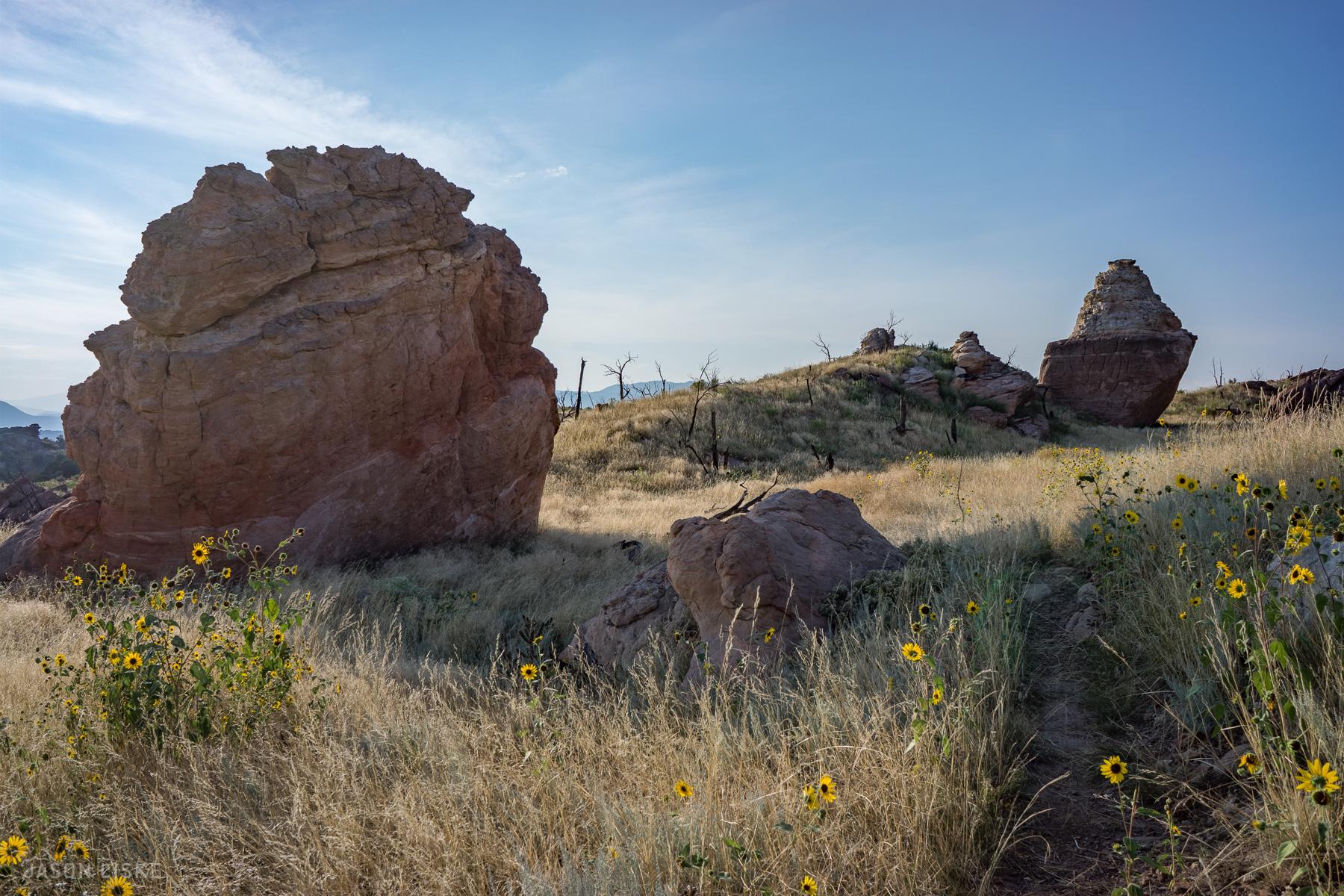 A scenic landscape featuring large, weathered rocks amidst a field of tall grass and blooming sunflowers. The background shows gentle hills under a clear blue sky, creating a tranquil natural setting. Oil Well Flats mountain bike trail.