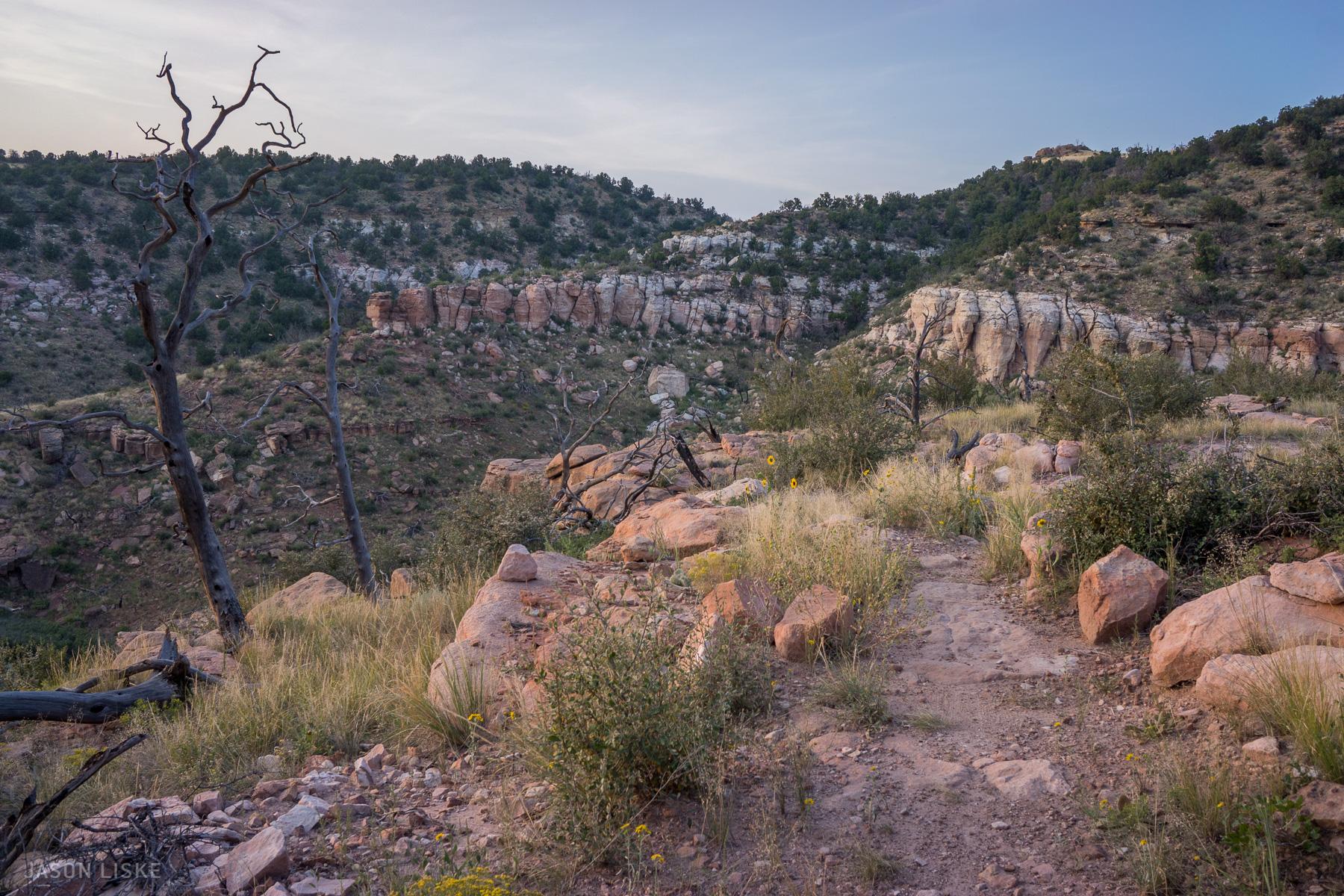 A scenic view of a rocky landscape with dry, twisted trees and vibrant green shrubs. The terrain features a winding dirt path that leads through a mix of grasses and stones, with cliffs visible in the background against a clear sky. Sunlight casts a warm glow on the rocks, enhancing the natural beauty of the area. Oil Well Flats mountain bike trail.