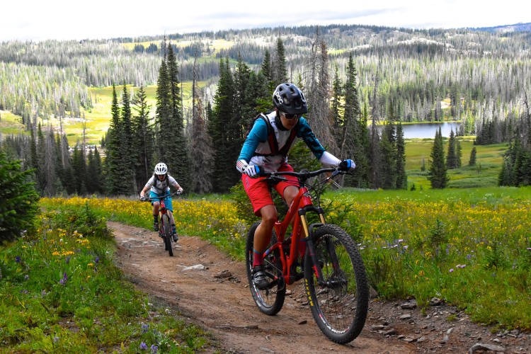 Two mountain bikers navigate a rocky trail through a lush, flower-filled meadow, surrounded by tall evergreen trees and rolling hills under a cloudy sky. A serene lake is visible in the background.