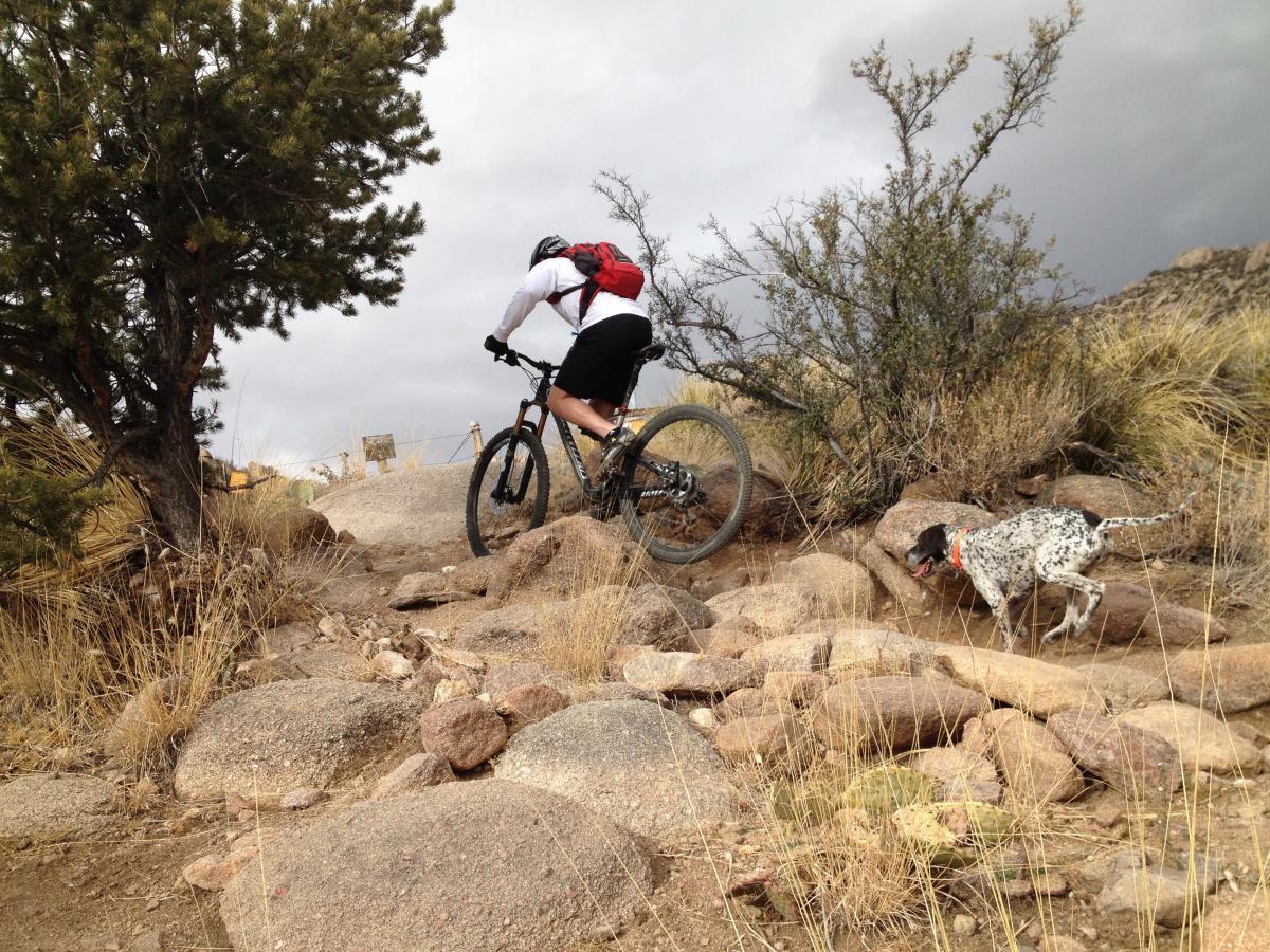 Advocacy Alert Wilderness Expansion in Albuquerque, NM Singletracks