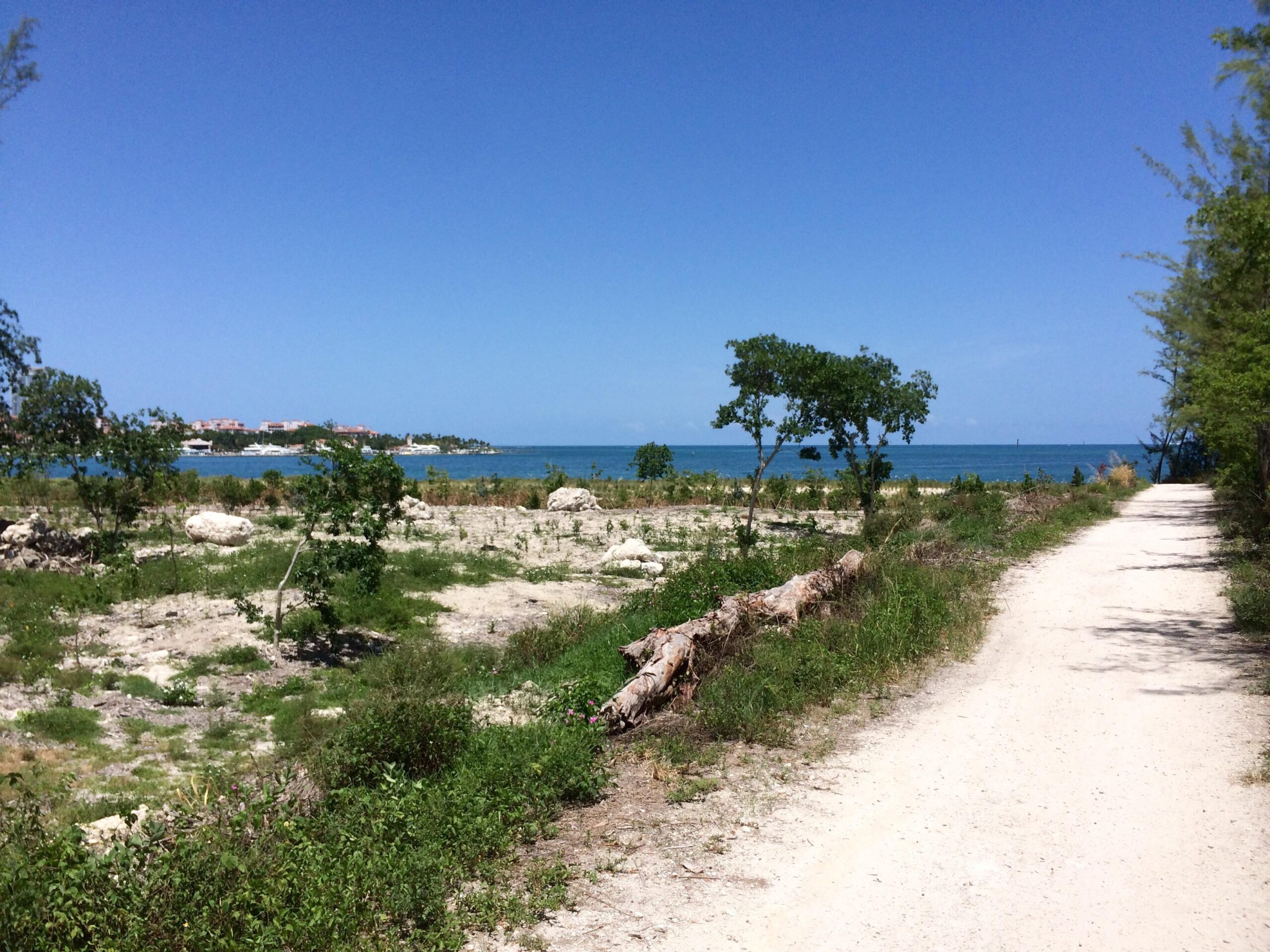 A scenic view of a sandy path leading towards a tranquil blue sea, framed by green vegetation and sparse trees. In the distance, a residential area is visible along the shoreline, under a clear blue sky. The foreground features rocky terrain and patches of greenery. Virginia Key North Point mountain bike trail.
